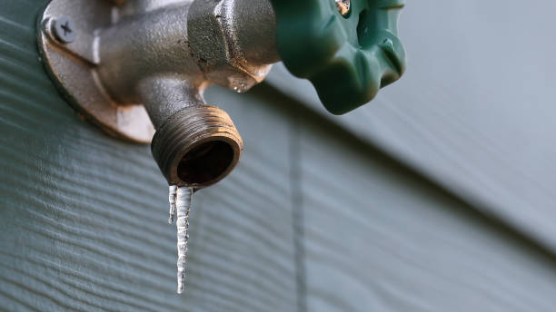 Best Sewer Line Repair  in Dyer, TN